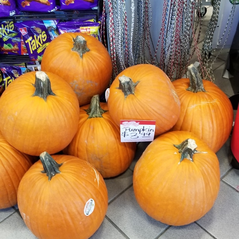 Meet your Posher, Kristine